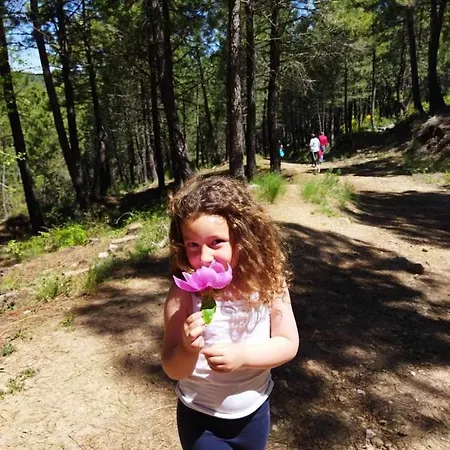 El Rincon De Mariela By Travel *